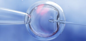 the most important general conditions for conducting IVF